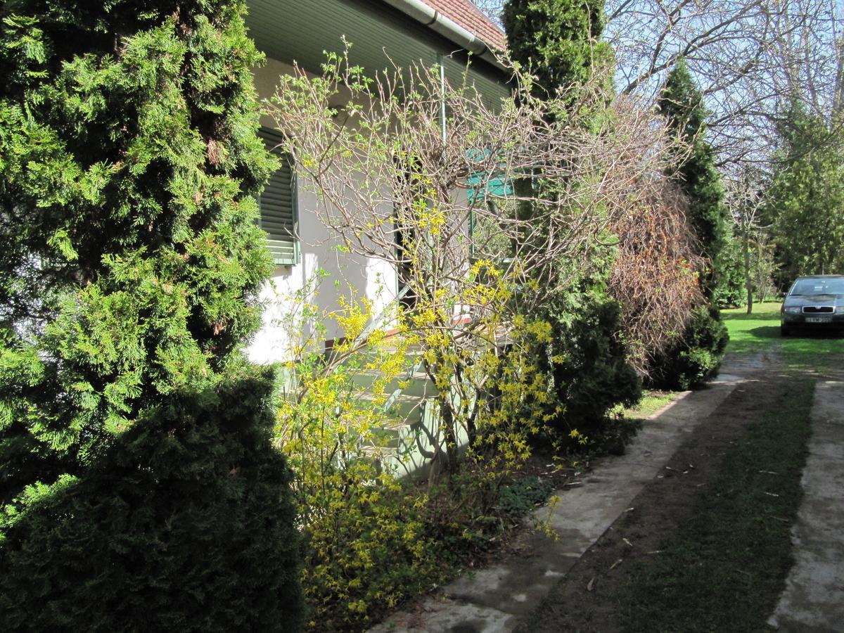 Babarczi Ueduelohaz Apartment Kiskunmajsa Exterior foto